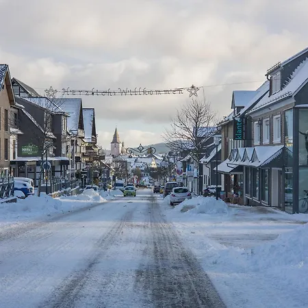 Welcome In - Met Terras, Aan De Skipiste En Bikepark * Winterberg