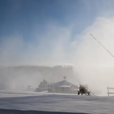 Welcome In - 4-3 Mit Terrasse, Direkt An Der Skipiste Und Am Bikepark
