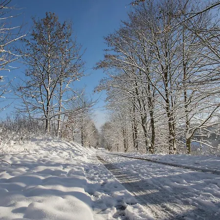 Welcome In - 4-3 Mit Terrasse, Direkt An Der Skipiste Und Am Bikepark Винтерберг