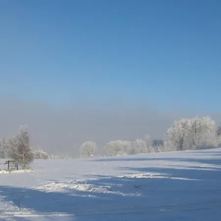 Welcome In - 4-3 Mit Terrasse, Direkt An Der Skipiste Und Am Bikepark Апартаменты *